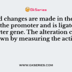Desired changes are made in the structure of the promoter and is ligated onto reporter gene. The alteration can be known by measuring the activity