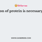 Digestion of protein is necessary due to