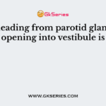 Duct leading from parotid gland and opening into vestibule is
