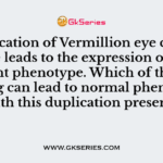 Duplication of Vermillion eye colour gene leads to the expression of the mutant phenotype