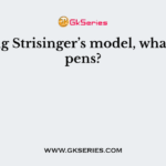During Strisinger’s model, what happens?