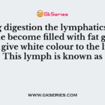 During digestion the lymphatics of the intestine become filled with fat globules which give white colour to the lymph. This lymph is known as