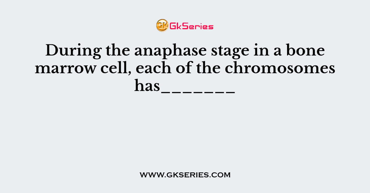 During the anaphase stage in a bone marrow cell, each of the chromosomes has_______