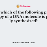 During which of the following process a new copy of a DNA molecule is precisely synthesized?