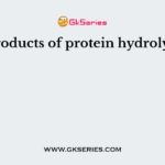 End products of protein hydrolysis are