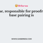 Enzyme, responsible for proofreading base pairing is