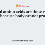 Essential amino acids are those required in diet because body cannot produce it