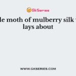 Female moth of mulberry silk worm lays about