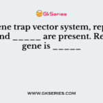 For gene trap vector system, reporter gene and _____ are present. Reporter gene is _____