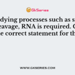 For studying processes such as splicing and cleavage, RNA is required. Choose the correct statement for this