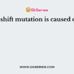 Frameshift mutation is caused due to?