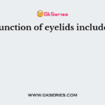 Function of eyelids includes