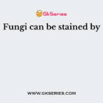 Fungi can be stained by