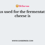 Fungus used for the fermentation of cheese is