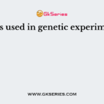 Fungus used in genetic experiments is