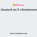 Genes located on Y-chromosome are