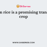 Golden rice is a promising transgenic crop