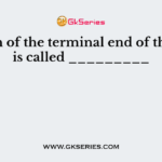 Growth of the terminal end of the stem is called _________
