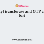 Guanylyl transferase and GTP are used for?