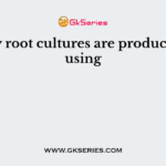 Hairy root cultures are produced by using