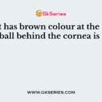 Harshit has brown colour at the middle of eyeball behind the cornea is due to