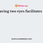 Having two eyes facilitates in