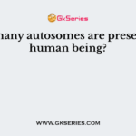 How many autosomes are present in a human being?