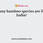 How many bamboo species are found in India?