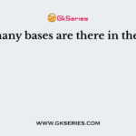 How many bases are there in the DNA?