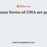 How many forms of DNA are present?