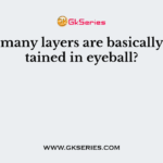 How many layers are basically contained in eyeball?