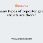 How many types of reporter gene constructs are there?