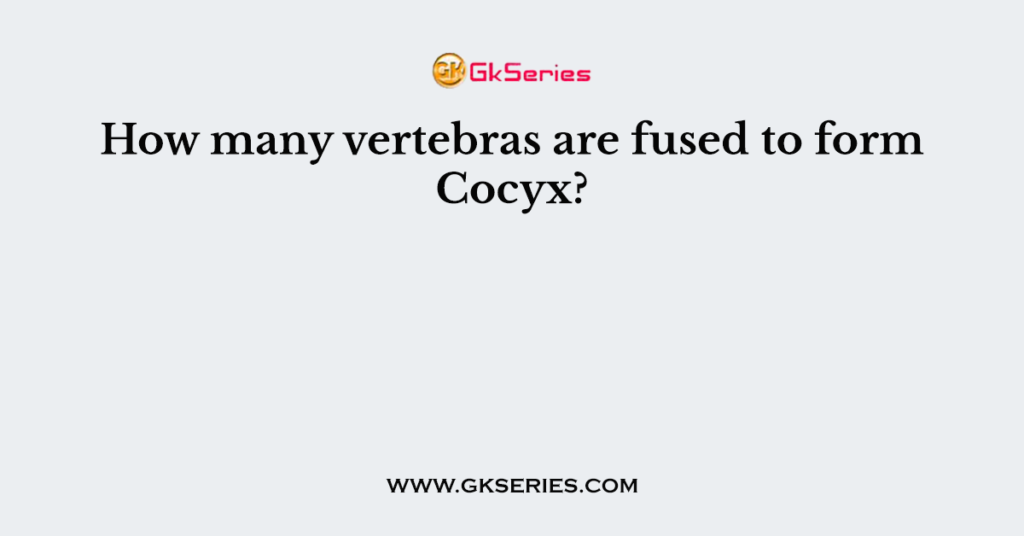 How many vertebras are fused to form Cocyx?