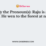 Identify the Pronoun(s): Raju is a brave boy. He wen to the forest at night