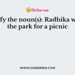 Identify the noun(s): Radhika went to the park for a picnic.