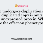 If a gene undergoes duplication and one of the duplicated copy is mutated to render unexpressed protein. What will be the effect on phenotype?