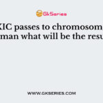 If the XIC passes to chromosome 3 in a human what will be the result?