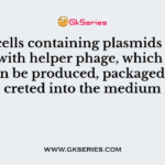 If the cells containing plasmids are infected with helper phage