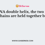 In DNA double helix, the two DNA chains are held together by