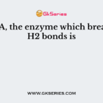 In DNA, the enzyme which breaks the H2 bonds is