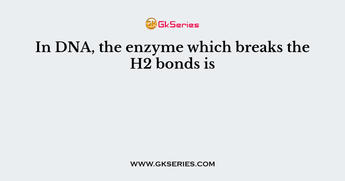 In DNA, the enzyme which breaks the H2 bonds is