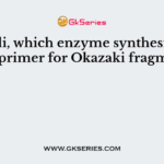 In E.coli, which enzyme synthesizes the RNA primer for Okazaki fragments?
