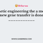 In Genetic engineering the a modified or new gene transfer is done to ___________