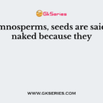 In Gymnosperms, seeds are said to be naked because they