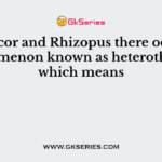 In Mucor and Rhizopus there occurs a phenomenon known as heterothallism which means