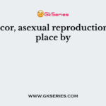 In Mucor, asexual reproduction takes place by