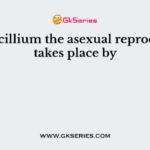 In Penicillium the asexual reproduction takes place by