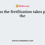 In Pinus the fertilization takes place in the