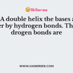 In a DNA double helix the bases are held together by hydrogen bonds. These hydrogen bonds are
