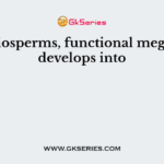 In angiosperms, functional megaspore develops into